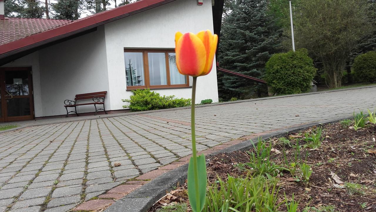 Osrodek Szkoleniowo - Wypoczynkowy Guzianka Hotel Ruciane-Nida Bagian luar foto