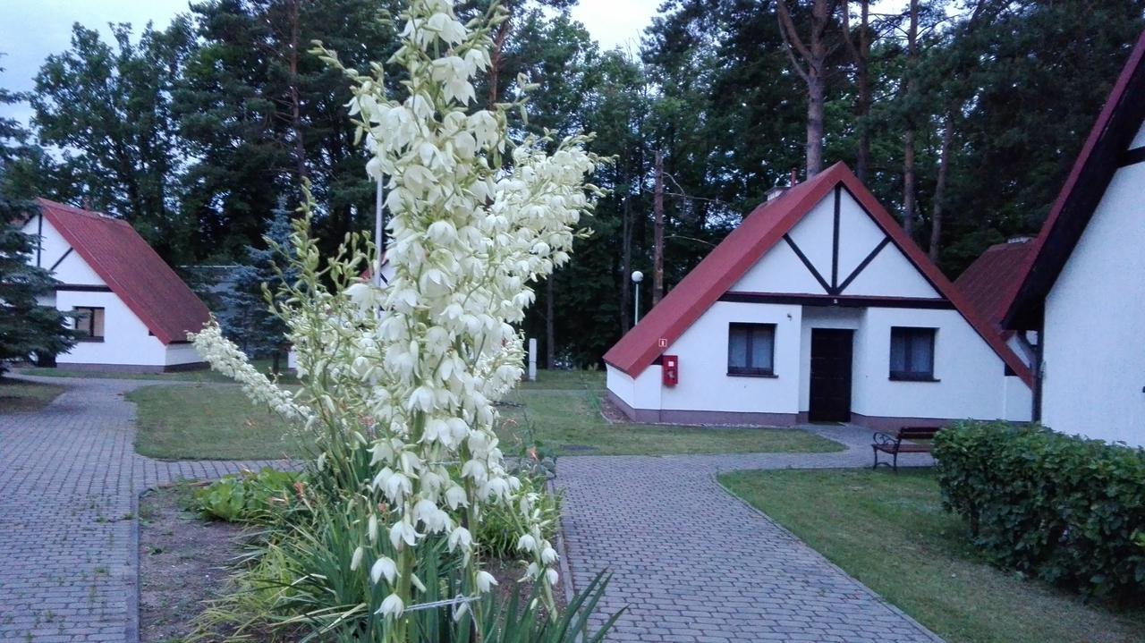 Osrodek Szkoleniowo - Wypoczynkowy Guzianka Hotel Ruciane-Nida Bagian luar foto