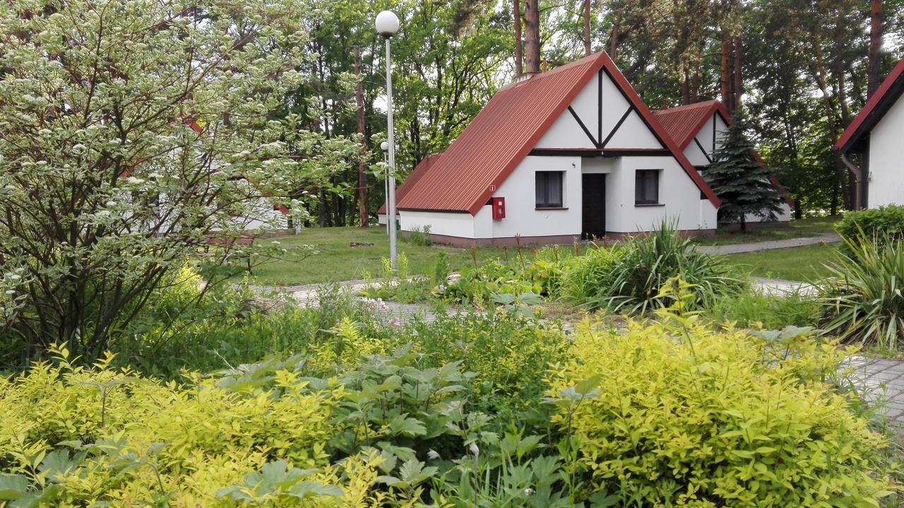 Osrodek Szkoleniowo - Wypoczynkowy Guzianka Hotel Ruciane-Nida Bagian luar foto